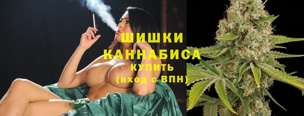 молекула духа Волосово