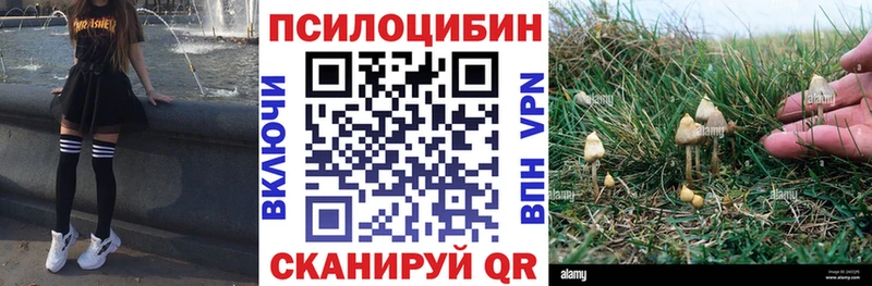 Галлюциногенные грибы мицелий  Купить закладки  Талица 